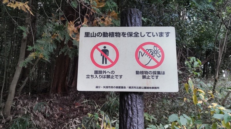 里山の動植物を保全しています 横浜市旭区矢指町追分市民の森