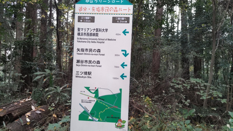 追分・矢指市民の森ルート 横浜市旭区矢指町追分市民の森