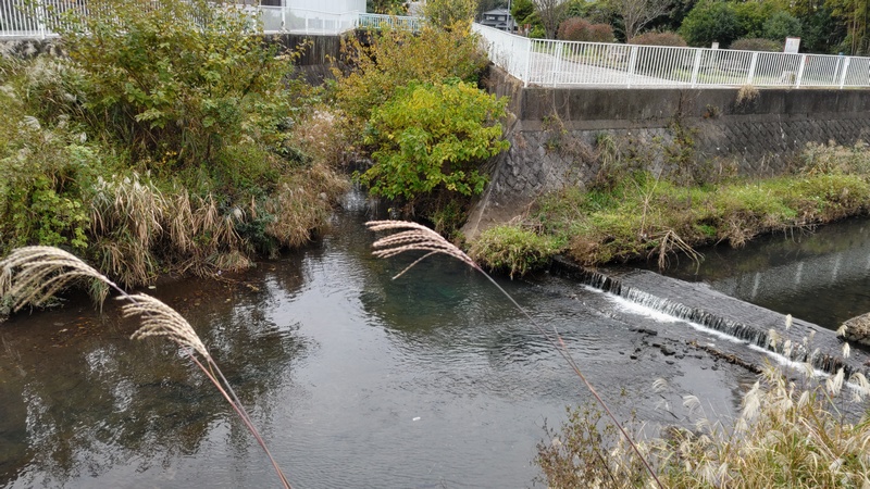 矢指川合流地点 横浜市旭区今宿南町
