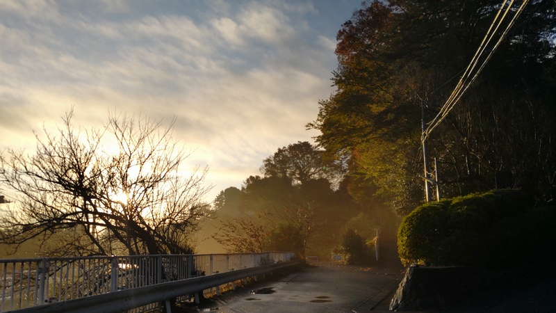 朝の風景 横浜市旭区今宿南町清来寺