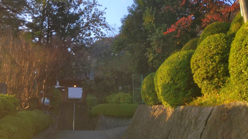 清来寺 横浜市旭区今宿南町清来寺