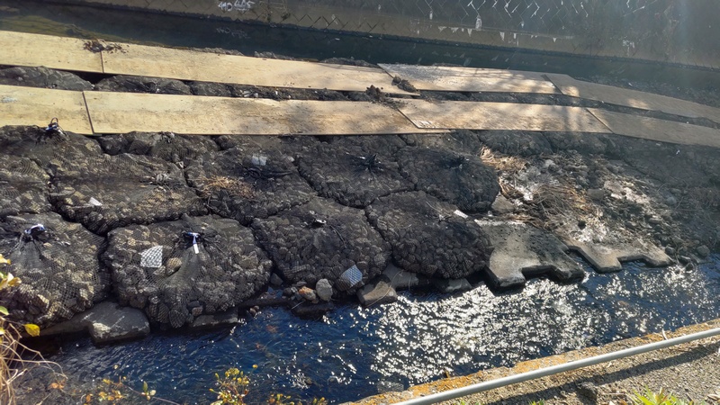 帷子川（鶴ヶ峰白根地区）改修工事（その２） 横浜市旭区今川町