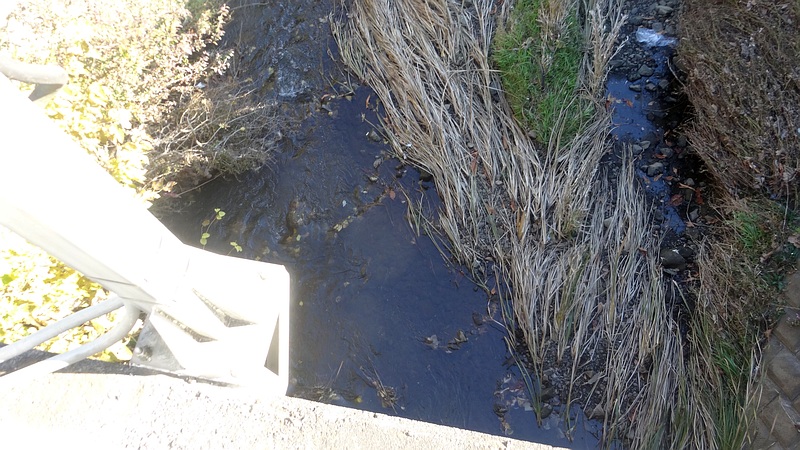 水位計直下の川面 横浜市旭区都岡町