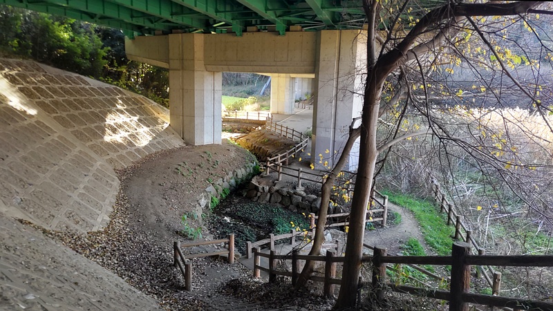 中原街道橋脚 横浜市旭区矢指町追分市民の森