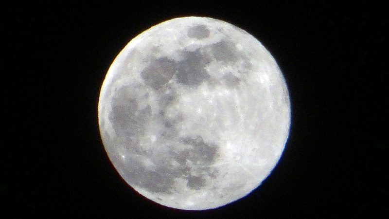 満月 横浜市旭区中希望が丘