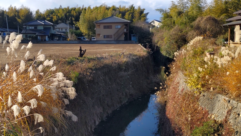 矢指川 横浜市旭区今宿南町
