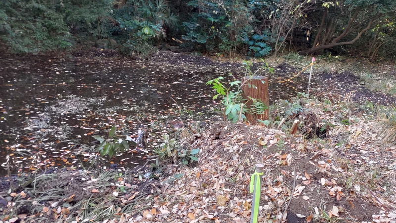 希望が丘水の森公園池しゅんせつ工事 横浜市旭区希望が丘水の森公園