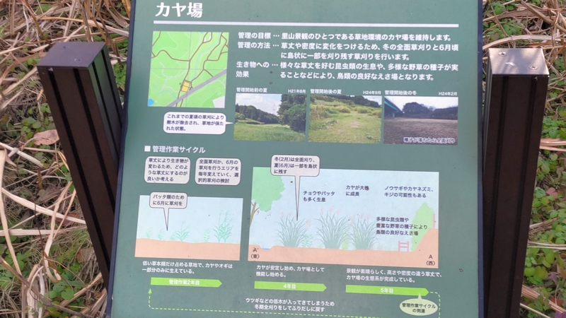 茅場の説明板 横浜市旭区矢指町追分市民の森