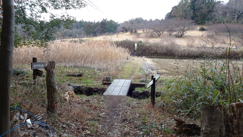 矢指市民の森 横浜市旭区矢指町矢指市民の森