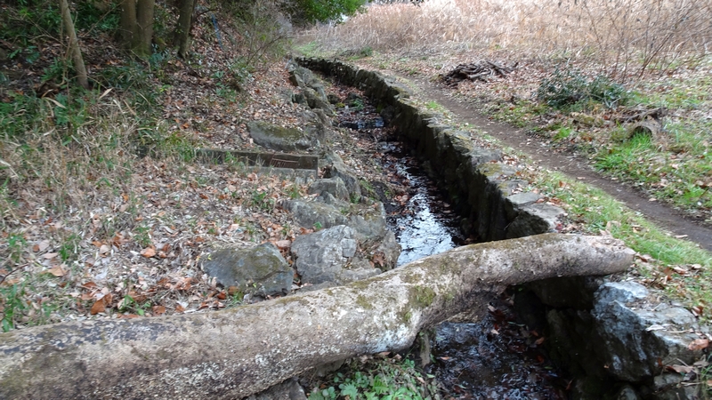 矢指市民の森 横浜市旭区矢指町矢指市民の森