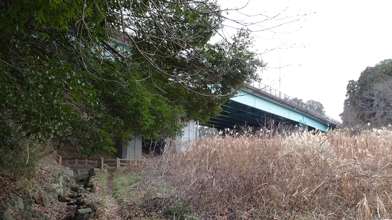 追分市民の森 横浜市旭区矢指町追分市民の森