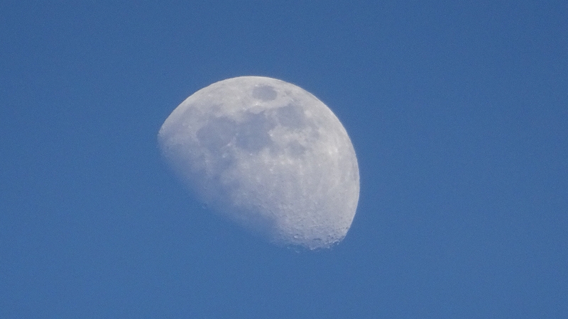 昼の上弦の月 川崎市幸区