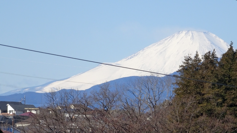 富士山 横浜市旭区今川町今川公園