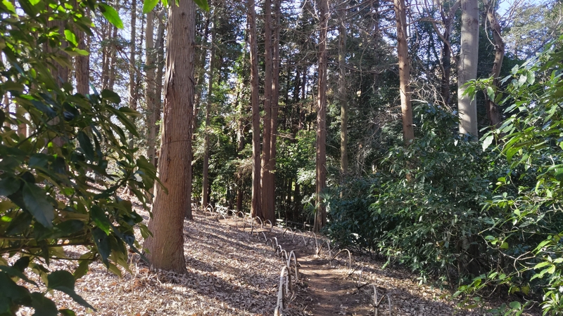 今川公園 横浜市旭区今川町今川公園