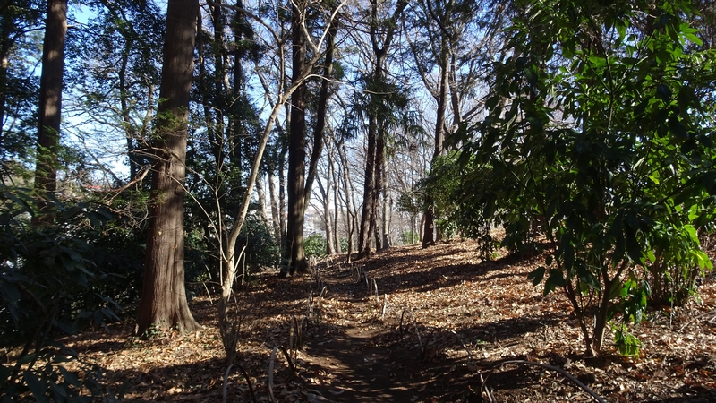 今川公園 横浜市旭区今川町今川公園