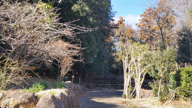 希望が丘水の森公園 横浜市旭区希望が丘水の森公園