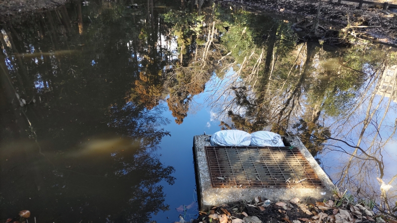 湧水池 横浜市旭区希望が丘水の森公園