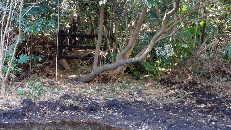 湧水池の東側の柵 横浜市旭区希望が丘水の森公園