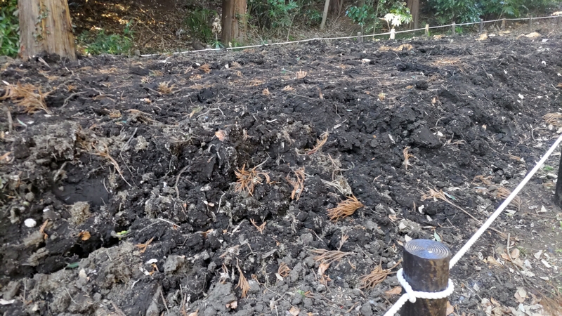 腐泥土 横浜市旭区希望が丘水の森公園