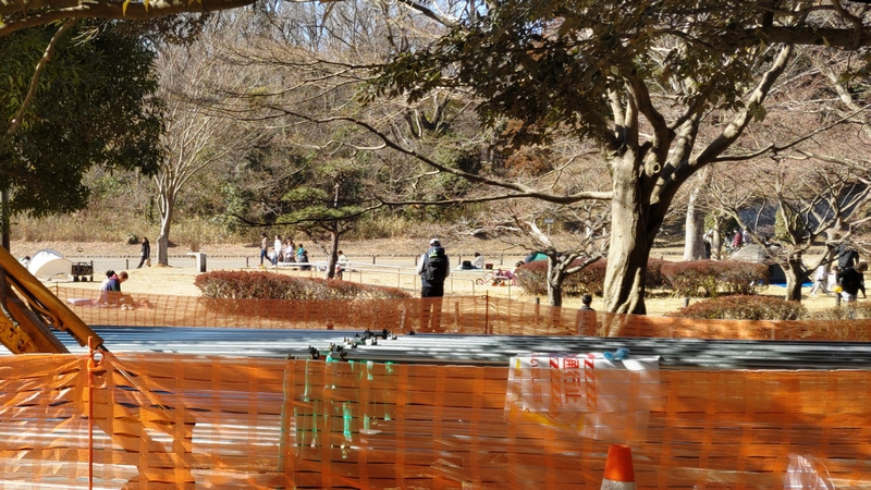 大池公園 横浜市旭区大池町こども自然公園