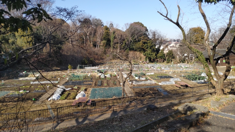 分区画 横浜市旭区南本宿町南本宿公園