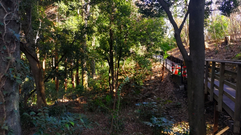 南本宿公園 横浜市旭区南本宿町南本宿公園