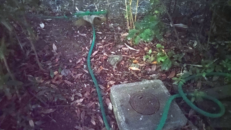 ビオトープの水の補充 川崎市幸区さいわいふるさと公園