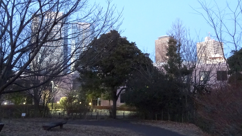 冬の日暮れ 川崎市幸区さいわいふるさと公園