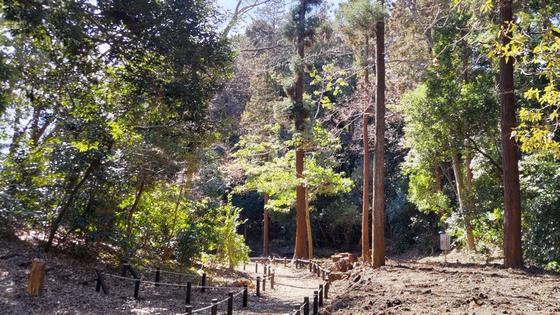 希望が丘水の森公園 横浜市旭区希望が丘水の森公園