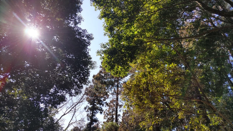 希望が丘水の森公園 横浜市旭区希望が丘水の森公園