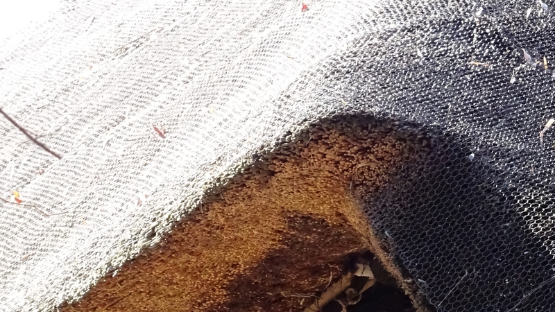 茅葺き屋根 横浜市瀬谷区長屋門公園