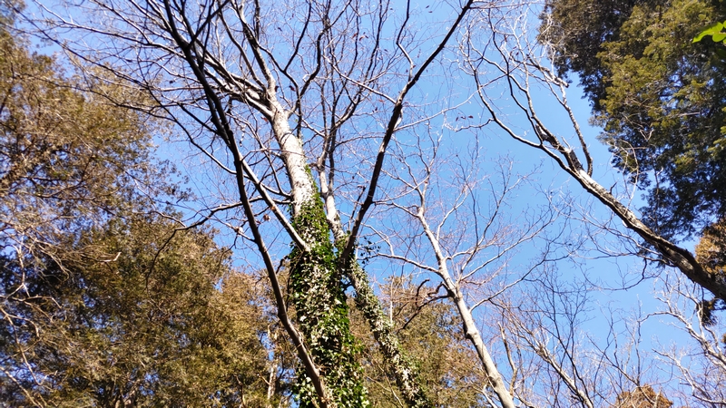 瀬谷貉窪公園 横浜市瀬谷区瀬谷貉窪公園