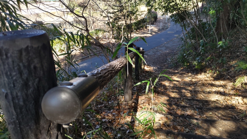 瀬谷貉窪公園 横浜市瀬谷区瀬谷貉窪公園