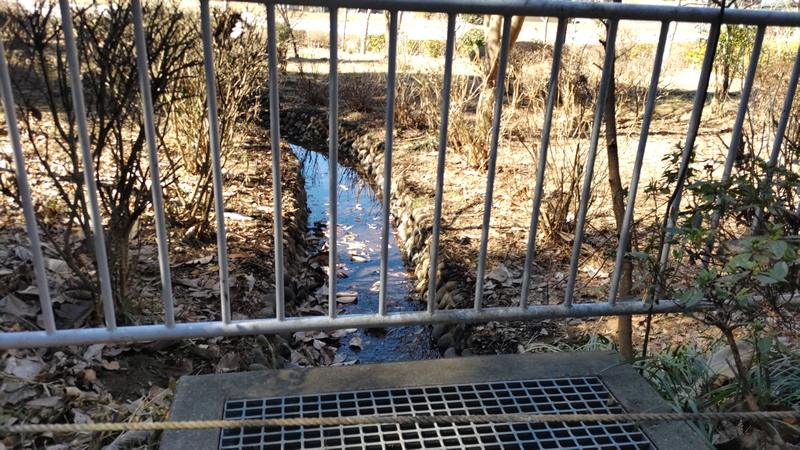小川 横浜市瀬谷区瀬谷貉窪公園