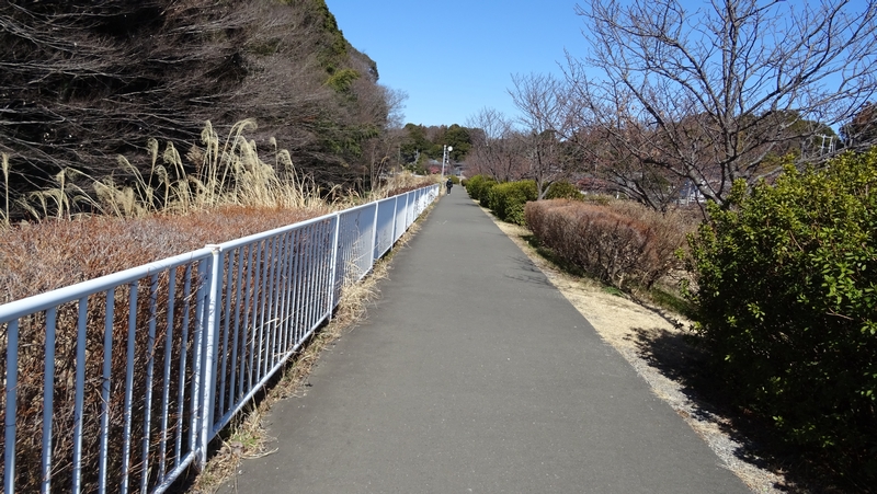 遊歩道 横浜市瀬谷区宮沢