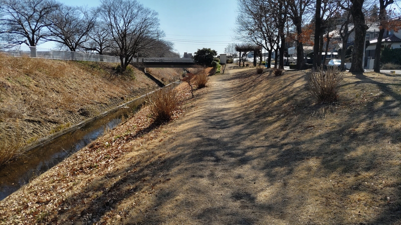 和泉川 横浜市泉区和泉町