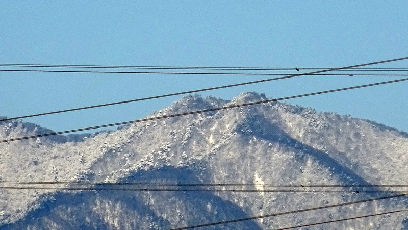 丹沢山系の雪景 横浜市旭区中希望が丘