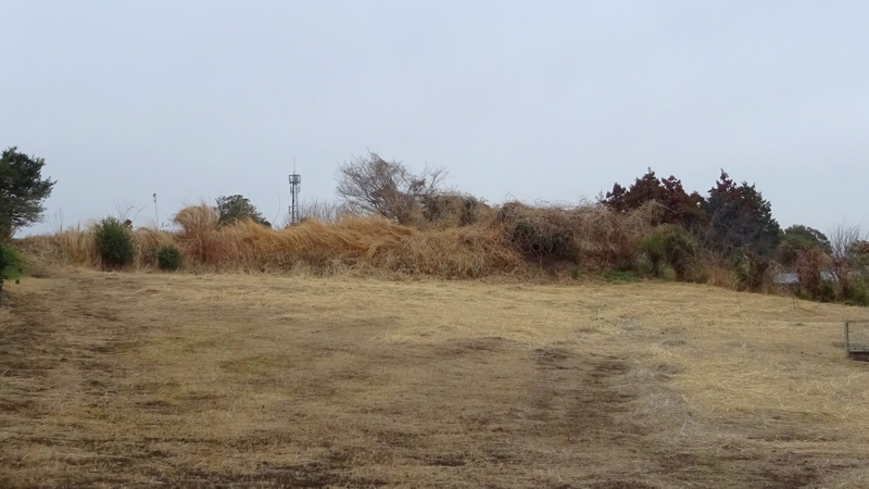 基地局 横浜市旭区今宿南町