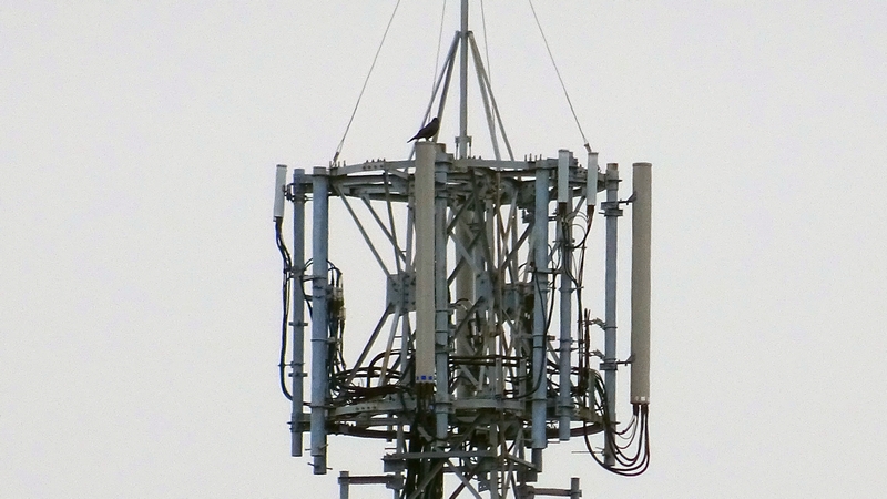 基地局 横浜市旭区今宿南町