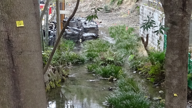 鶴ヶ峰連続立体交差事業 横浜市旭区帷子川親水緑道