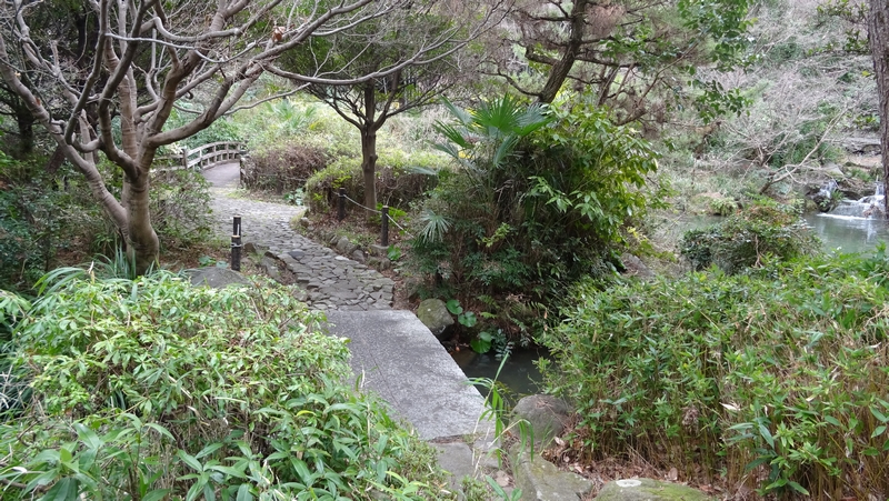 帷子川親水緑道 横浜市旭区帷子川親水緑道