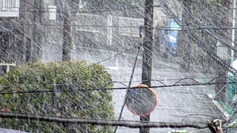 降雪時の街中の送電線 横浜市旭区中希望が丘