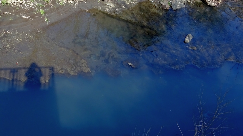 帷子川と自分 横浜市旭区今宿南町
