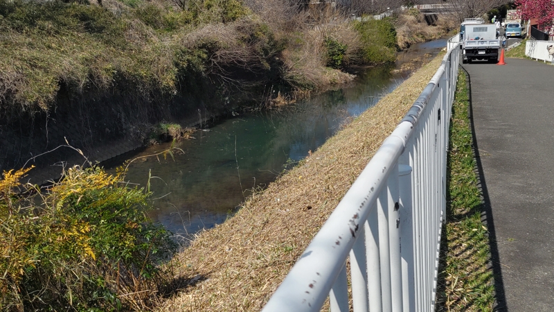 帷子川土手の除草作業 横浜市旭区鶴ヶ峰本町