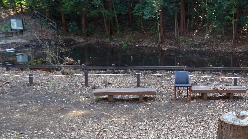 湧水池 横浜市旭区希望が丘水の森公園