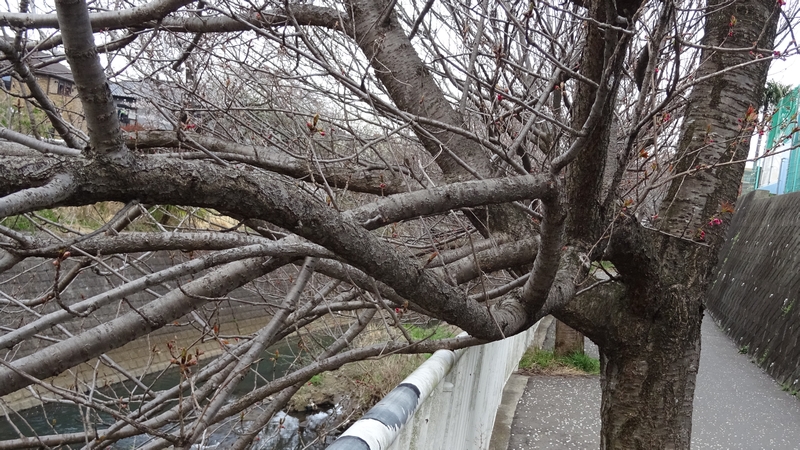 カンザン 横浜市旭区今宿南町
