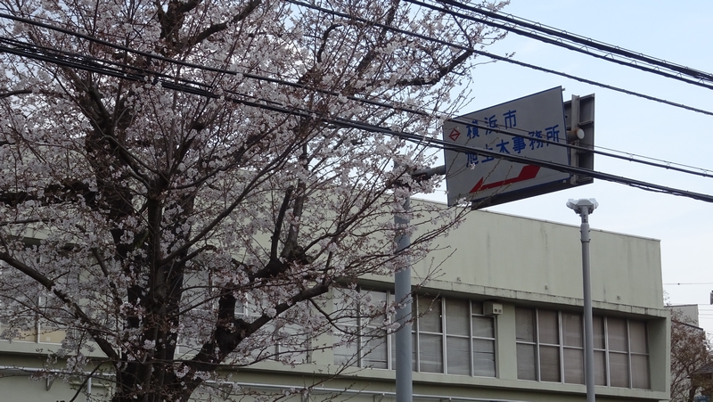 旭土木事務所 横浜市旭区今宿東町