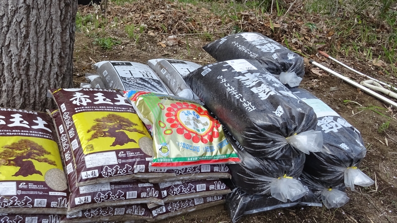 チョウのための食草ガーデン 横浜市旭区大池町こども自然公園