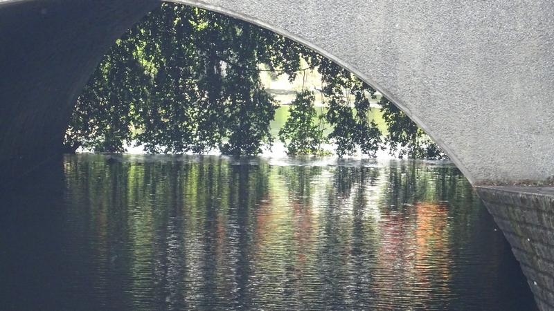 帷子川 横浜市旭区今川町