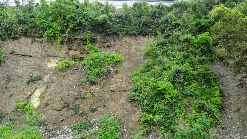 鶴ヶ峰連続立体交差事業 横浜市旭区帷子川親水緑道